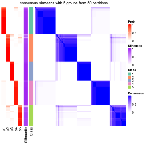 plot of chunk tab-node-07-consensus-heatmap-4