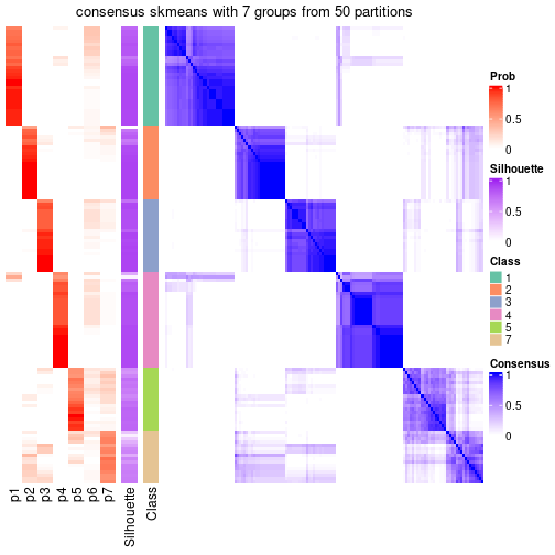 plot of chunk tab-node-07-consensus-heatmap-6