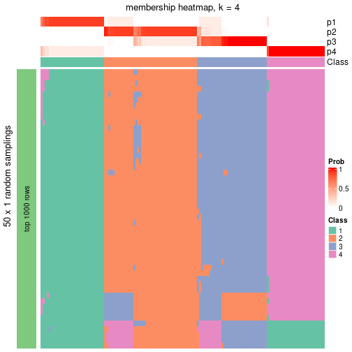 plot of chunk tab-node-07-membership-heatmap-3