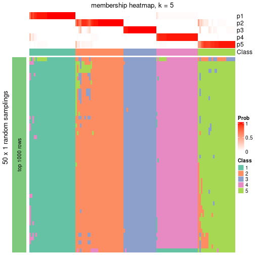 plot of chunk tab-node-07-membership-heatmap-4