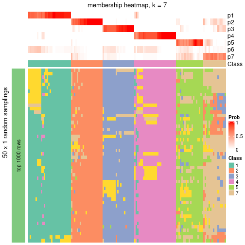 plot of chunk tab-node-07-membership-heatmap-6