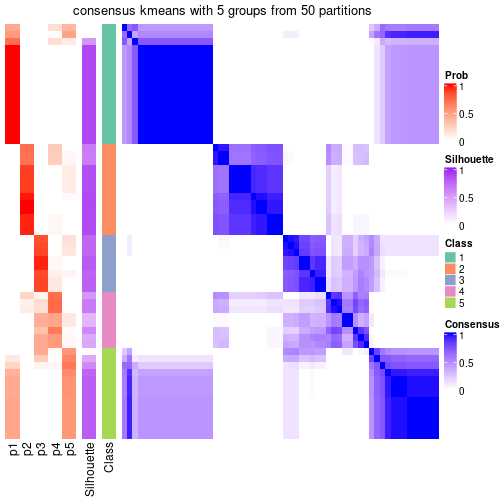 plot of chunk tab-node-071-consensus-heatmap-4