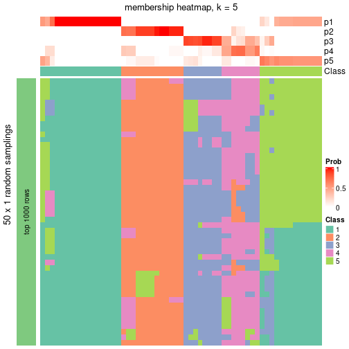 plot of chunk tab-node-071-membership-heatmap-4