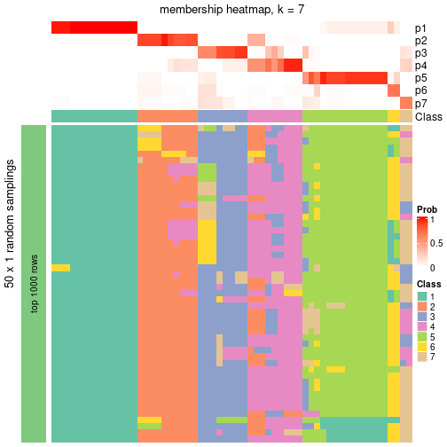 plot of chunk tab-node-071-membership-heatmap-6