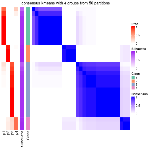 plot of chunk tab-node-0711-consensus-heatmap-3