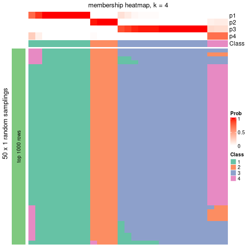 plot of chunk tab-node-0711-membership-heatmap-3