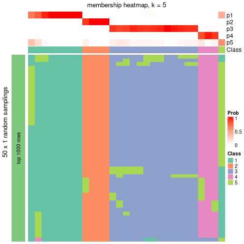 plot of chunk tab-node-0711-membership-heatmap-4