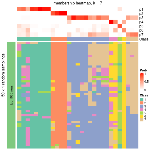 plot of chunk tab-node-0711-membership-heatmap-6