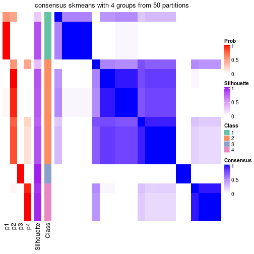 plot of chunk tab-node-07111-consensus-heatmap-3