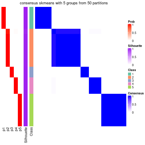 plot of chunk tab-node-07111-consensus-heatmap-4