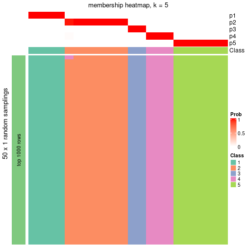 plot of chunk tab-node-07111-membership-heatmap-4