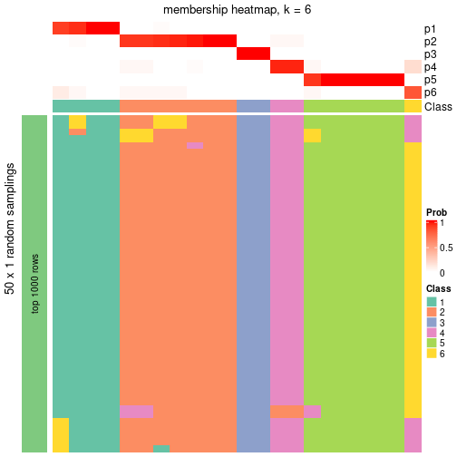 plot of chunk tab-node-07111-membership-heatmap-5