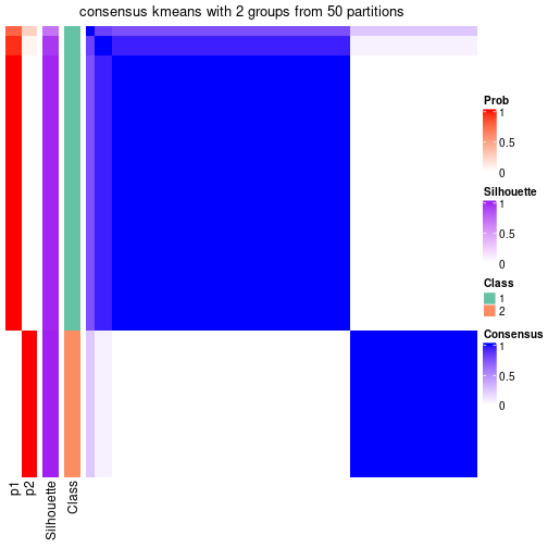 plot of chunk tab-node-072-consensus-heatmap-1