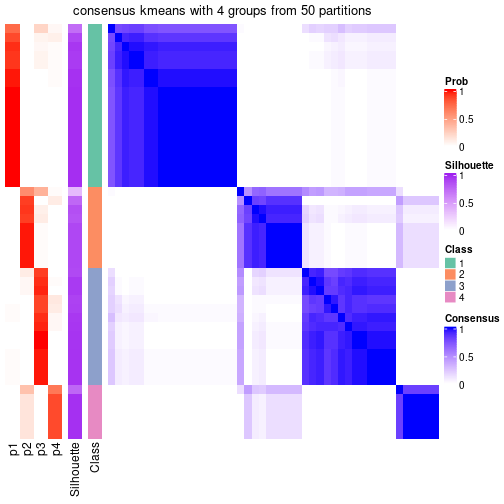 plot of chunk tab-node-072-consensus-heatmap-3