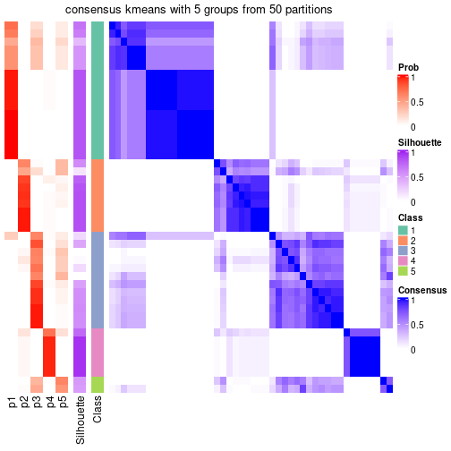 plot of chunk tab-node-072-consensus-heatmap-4