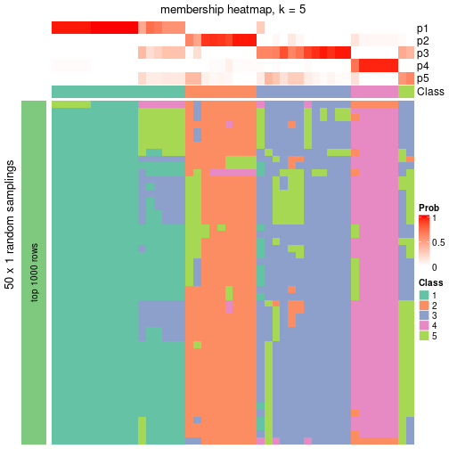 plot of chunk tab-node-072-membership-heatmap-4