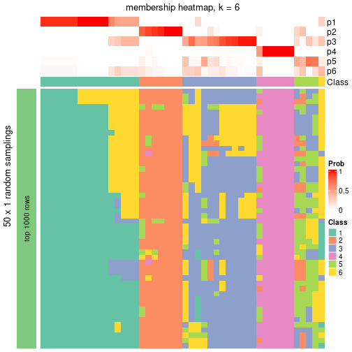 plot of chunk tab-node-072-membership-heatmap-5