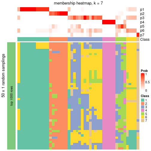 plot of chunk tab-node-072-membership-heatmap-6