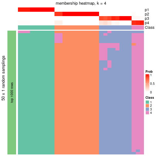 plot of chunk tab-node-0721-membership-heatmap-3