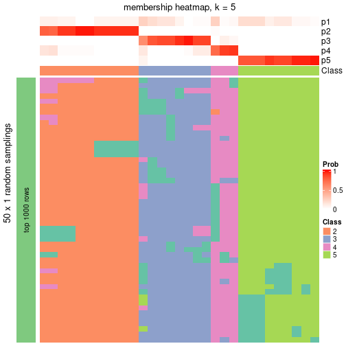 plot of chunk tab-node-0721-membership-heatmap-4