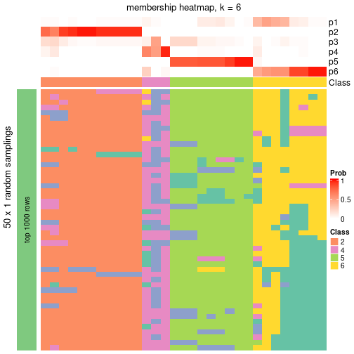 plot of chunk tab-node-0721-membership-heatmap-5