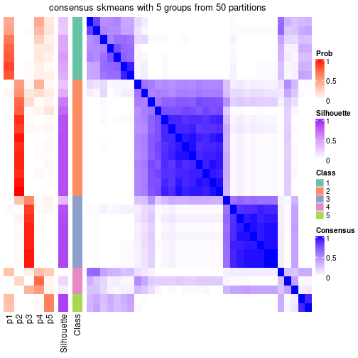 plot of chunk tab-node-073-consensus-heatmap-4