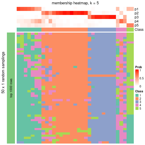 plot of chunk tab-node-073-membership-heatmap-4