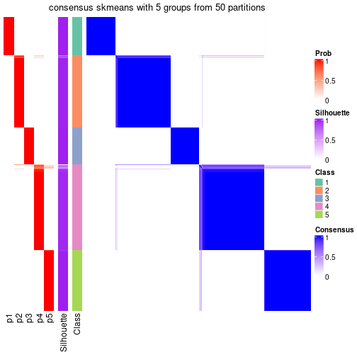 plot of chunk tab-node-0-consensus-heatmap-4