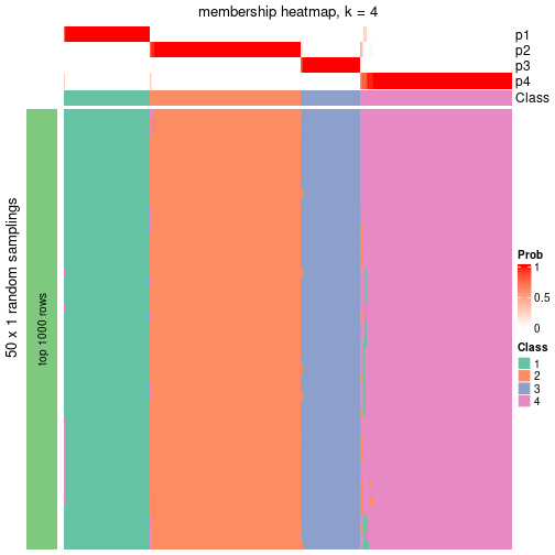 plot of chunk tab-node-0-membership-heatmap-3