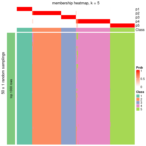 plot of chunk tab-node-0-membership-heatmap-4