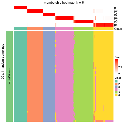 plot of chunk tab-node-0-membership-heatmap-5