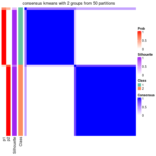 plot of chunk tab-node-01-consensus-heatmap-1