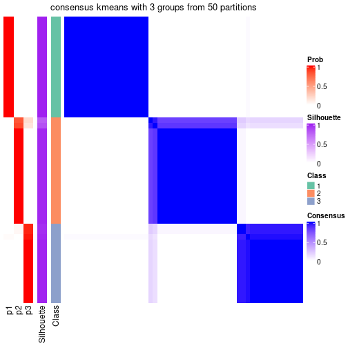 plot of chunk tab-node-01-consensus-heatmap-2