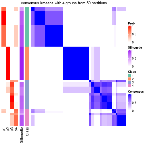 plot of chunk tab-node-01-consensus-heatmap-3