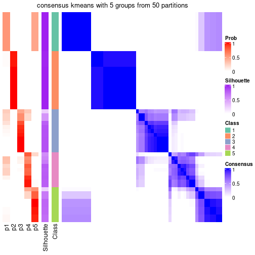 plot of chunk tab-node-01-consensus-heatmap-4