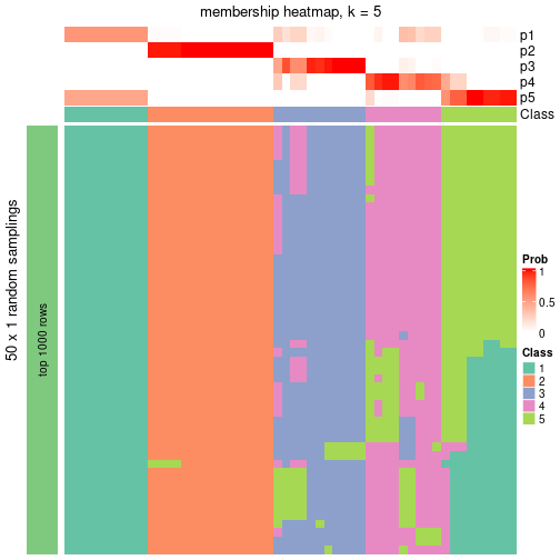 plot of chunk tab-node-01-membership-heatmap-4