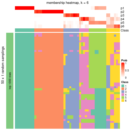 plot of chunk tab-node-01-membership-heatmap-5