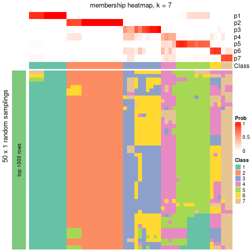 plot of chunk tab-node-01-membership-heatmap-6