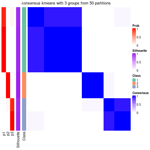 plot of chunk tab-node-011-consensus-heatmap-2