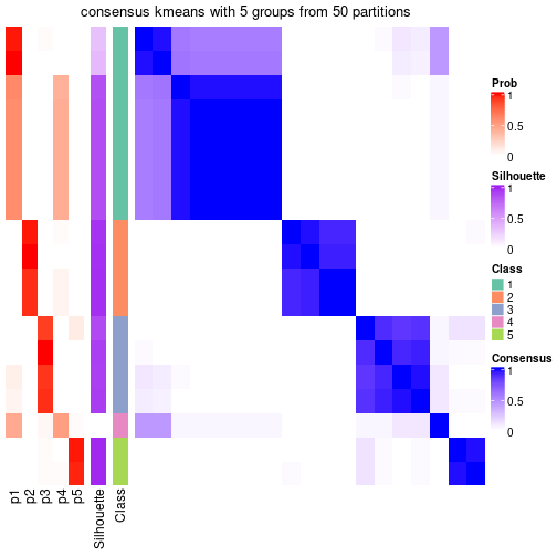 plot of chunk tab-node-011-consensus-heatmap-4