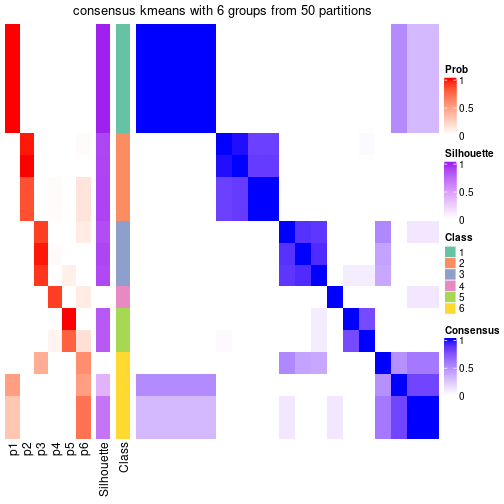 plot of chunk tab-node-011-consensus-heatmap-5