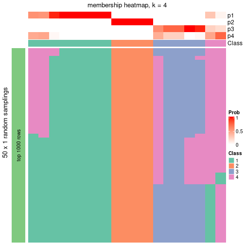 plot of chunk tab-node-011-membership-heatmap-3