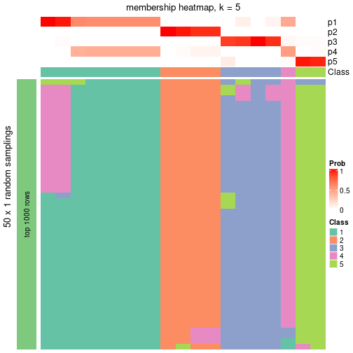 plot of chunk tab-node-011-membership-heatmap-4