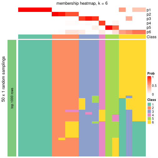 plot of chunk tab-node-011-membership-heatmap-5