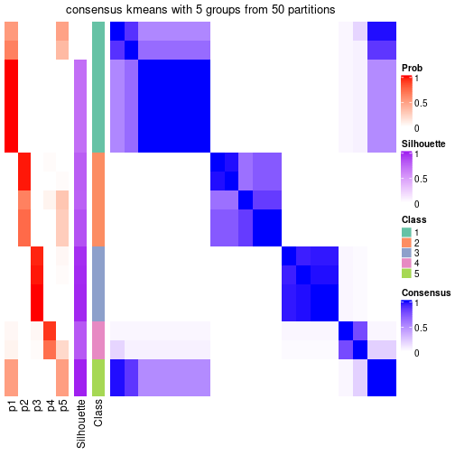 plot of chunk tab-node-012-consensus-heatmap-4