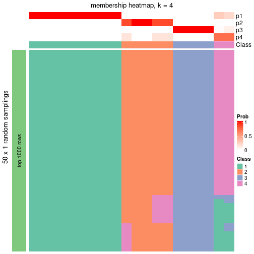 plot of chunk tab-node-012-membership-heatmap-3