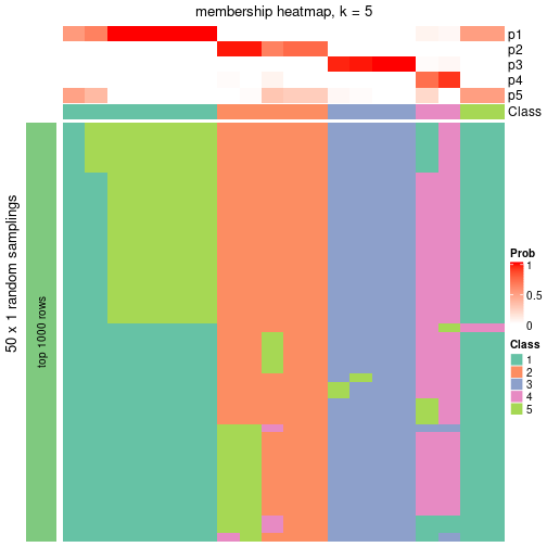 plot of chunk tab-node-012-membership-heatmap-4