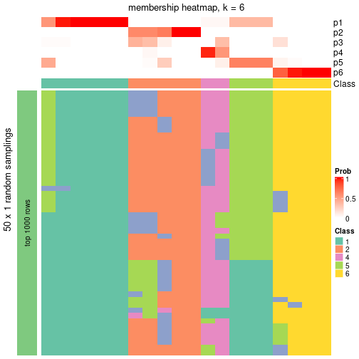 plot of chunk tab-node-012-membership-heatmap-5