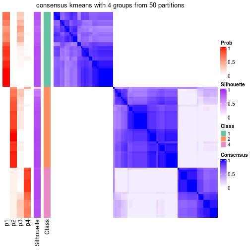 plot of chunk tab-node-02-consensus-heatmap-3