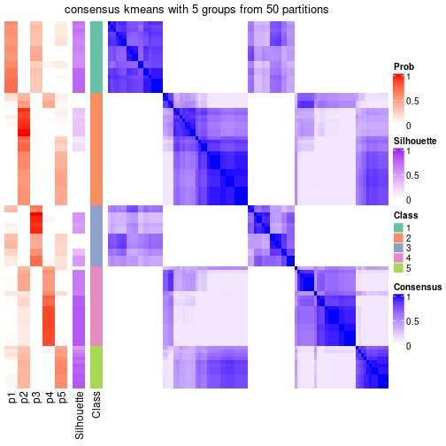 plot of chunk tab-node-02-consensus-heatmap-4